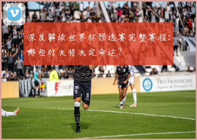 深度解读世界杯预选赛完整赛程：哪些对决将决定命运？
