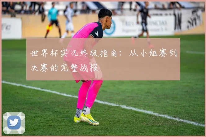 世界杯实况终极指南：从小组赛到决赛的完整战报